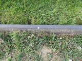 image of grave number 845848